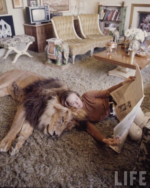 Tippi Hedren und Löwe Neel